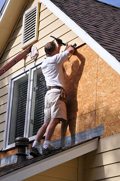 Best Carpet Removal and Disposal  in Risg Sun, IN
